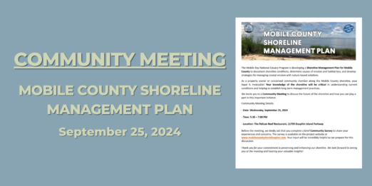 Community Meeting Shoreline Plan