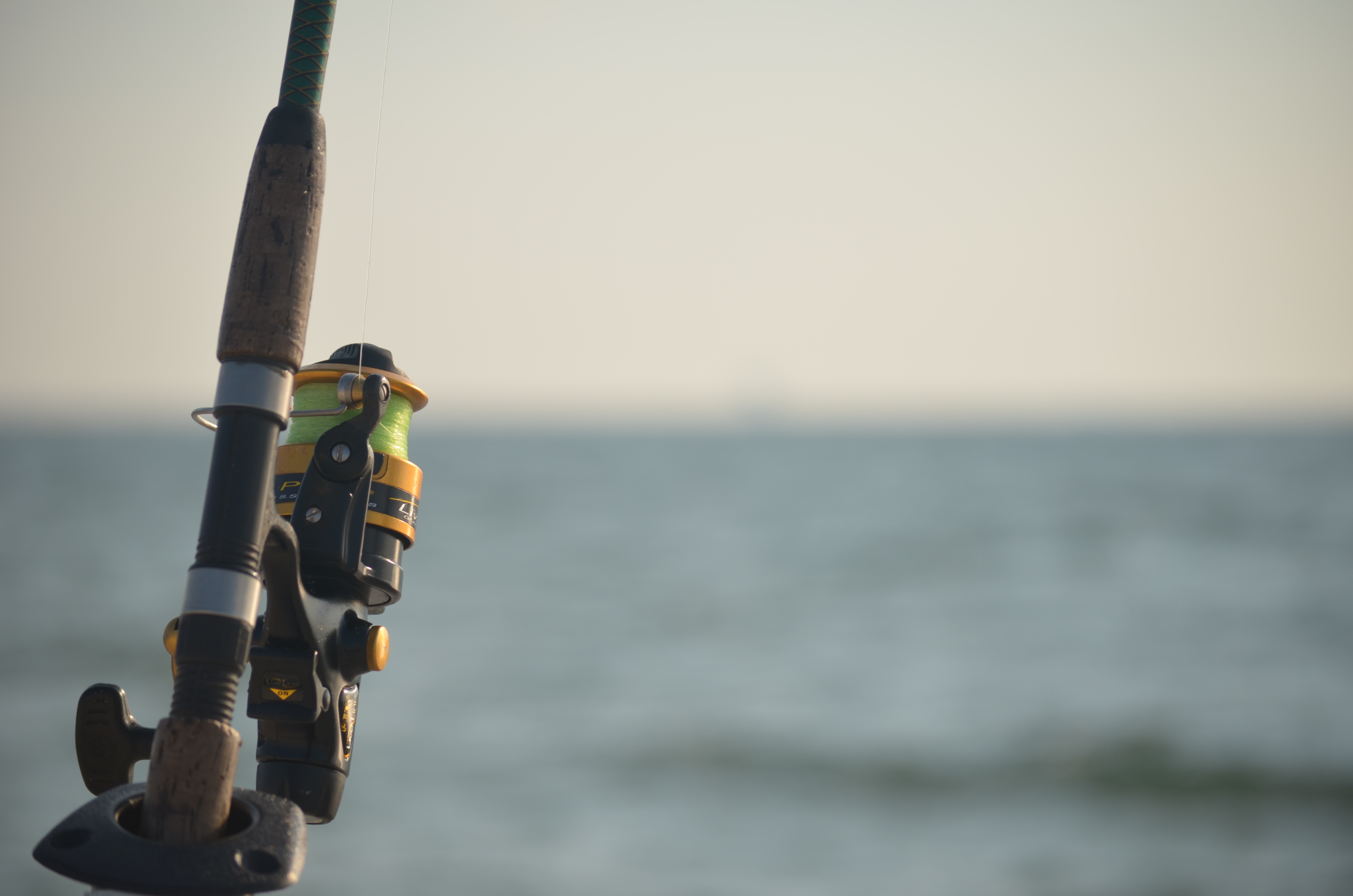 Access Dauphin Island