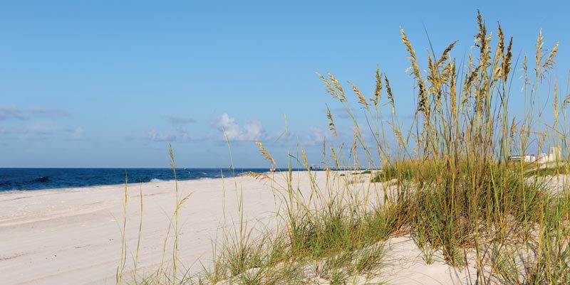 Beaches dunes shorelines 2